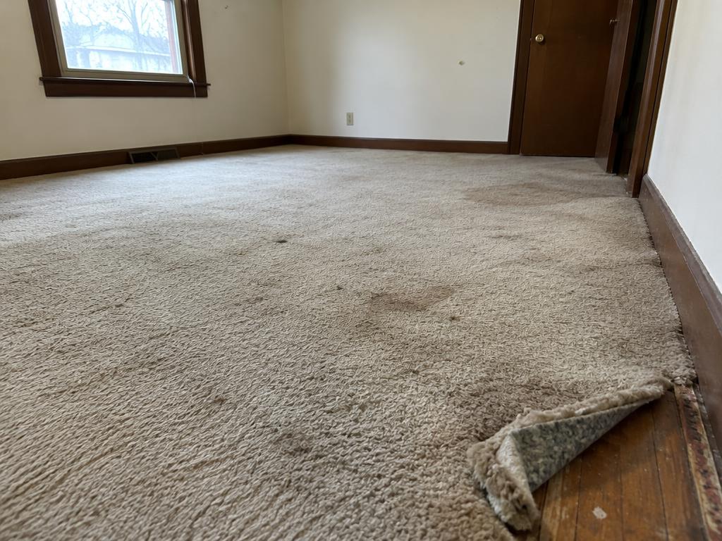 Flooring at 2847 Elm St